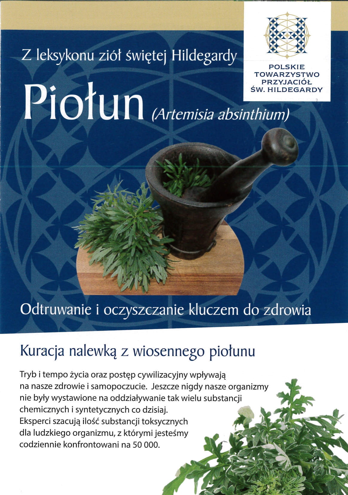 ULOTKA PIOŁUN